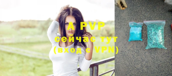 apvp Богородск