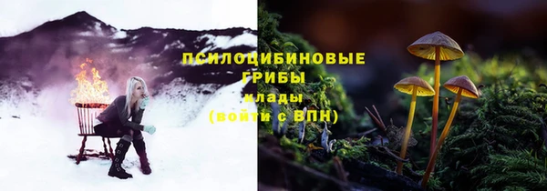 бошки Беломорск