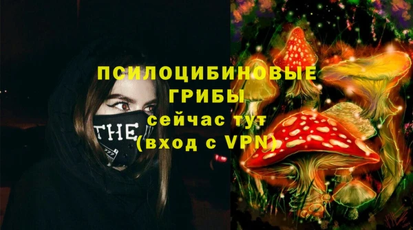 метамфетамин Белокуриха