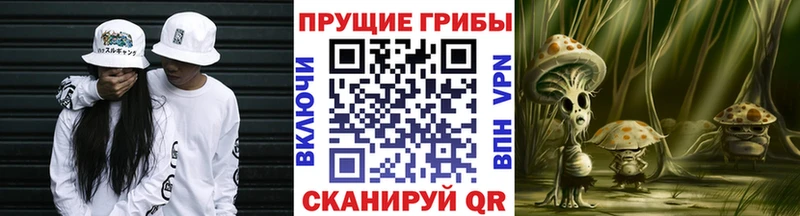 Псилоцибиновые грибы мицелий  Елизово 